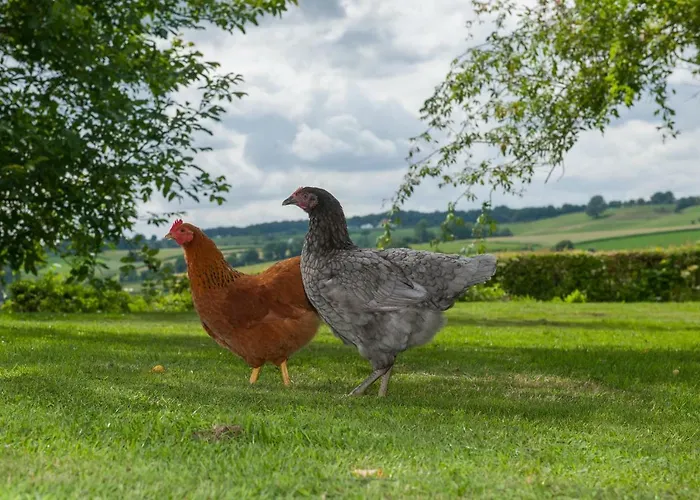 Hof Bommerig メッヘレン