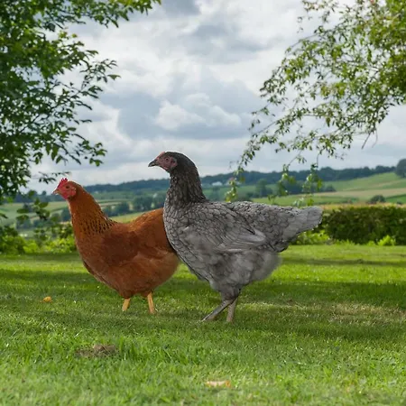 Hof Bommerig Malinas